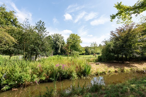 Medium property photo - Vreeswijkstraat 237, 2546 AG Den Haag